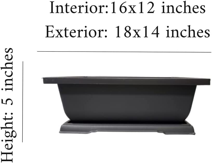 Amazon.com: CZ Grain Heavy Duty Outdoor Bonsai Pot - 18in Pot w