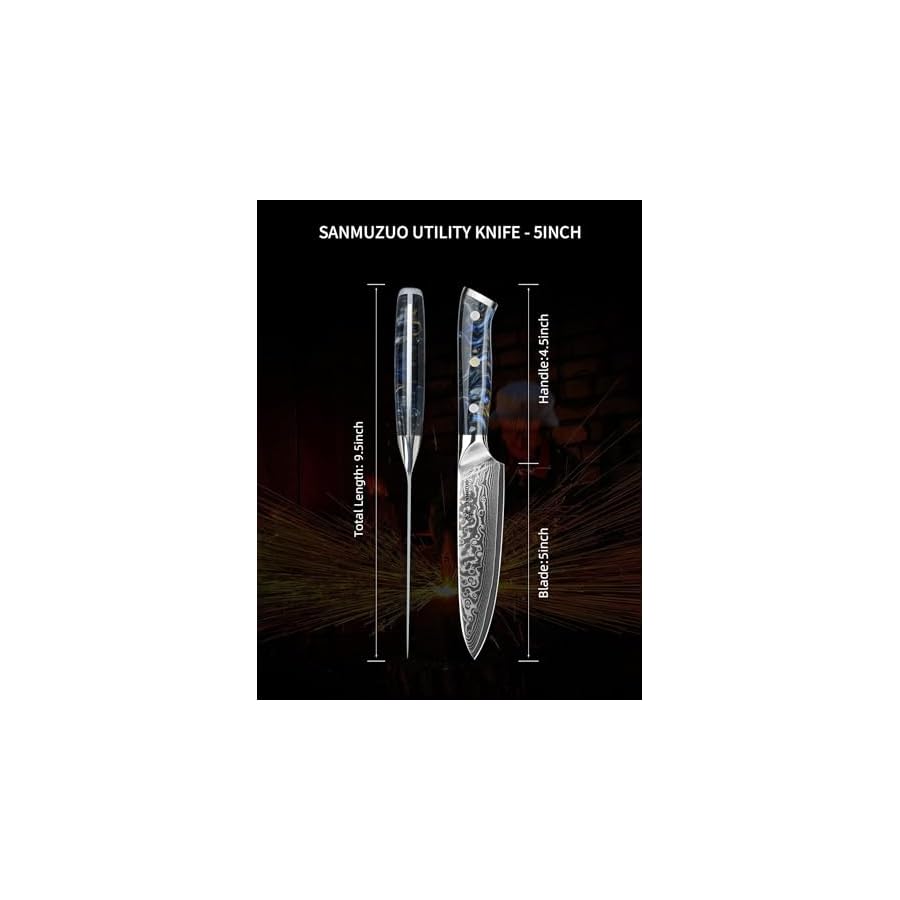 5 Inch Kitchen Utility Knife - Xuan Series Kitchen Knives - VG10 Damascus Steel with Resin Handle (Starry Black)