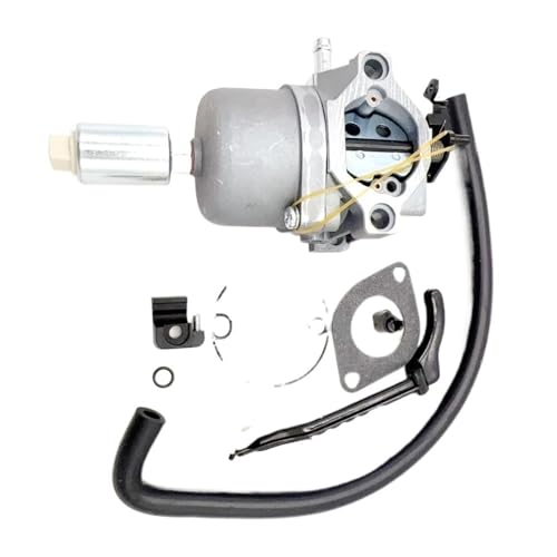 Carburateur pour Br St 591731 afin de réparer votre tracteur tondeuse avant la tonte du jardin
