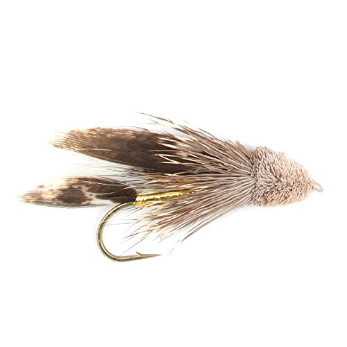 The Fly Fishing Place Trout Fly Starter Assortment - Collection Of 18 Flies For Trout Fly Fishing - Beginners Fly Selection #TOP1