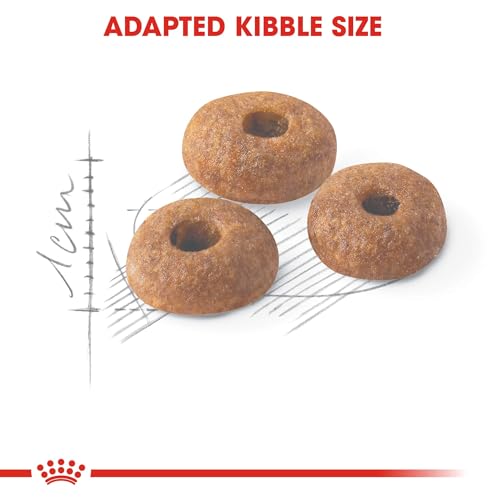 Royal Canin Katzenfutter Feline Fit 32, 1er Pack (1 x 10 kg Packung)