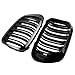 DEKEWEI E46 Grill, Front Kidney Grille Compatible with 1999-2002 E46 2-Door Coupe/Cabriolet Pre-Facelift, 2000-2006 M3 Double Slats Gloss Black Grill