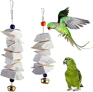 Parrot Cuttlefish Bone Fragile Molar Bell Swing Climb Chew Toys Grinding Birds Beak and Calcium Supplement For Bone Parakeet Cockatiel Lovebird (Set-A)