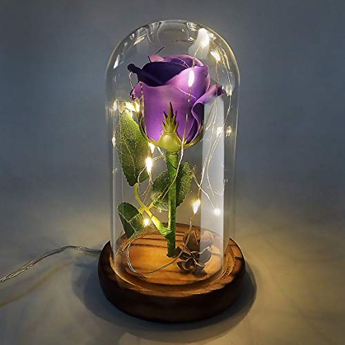 Jieway Beauty and The Beast Rose, Rose Light Dream Flower Enchanted Rose in a Glass Dome with USB LED Light Wooden Base Gift for Valentine's Day, Weddings (Purple)