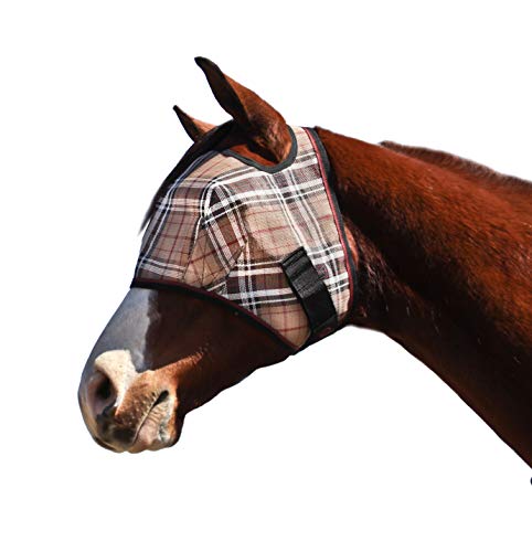 Kensington Fly Mask Web Trim — Protects Horses Face and Eyes From Biting Insects and UV Rays While Allowing Full Visibility — Ears and Forelock Able to Come Through the Mask