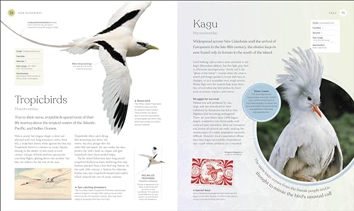 Image of The Bird Book: The Stories, Science, and History of Birds (DK Nature Books)