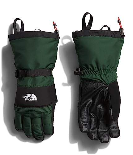 THE NORTH FACE Montana Ski Glove - Men's Pine Needle, XXL
