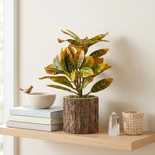 Image of Dekorly Artificial Croton Plant with Real Wooden Vase (20CM Overall Height) | Decorative Lifelike Faux Floral Plant in Rustic Tree Log Pot for Living Room