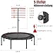 LIFERUN Mini Trampolin Indoor Erwachsene Ø128cm, Fitness Trampoline Klein,Jump Rebounder Workout,Tragfähigkeit 150kg,Stabiler Leise Gummiseilfederung,Höhenvers... Griffen,Zuhause, Rot