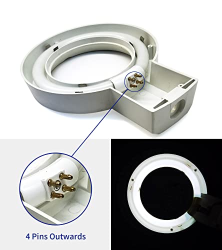 Celiwace 4.75 Inches T4 Circular Bulb 12 Watt, Fluorescent Circline 12W Fluorescent Lamp 6500K For Magnifying Lamp, Mikeup Mirror 2 Pack #TOP3