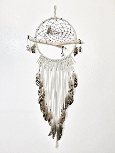The Barred Owl Dreamcatcher
