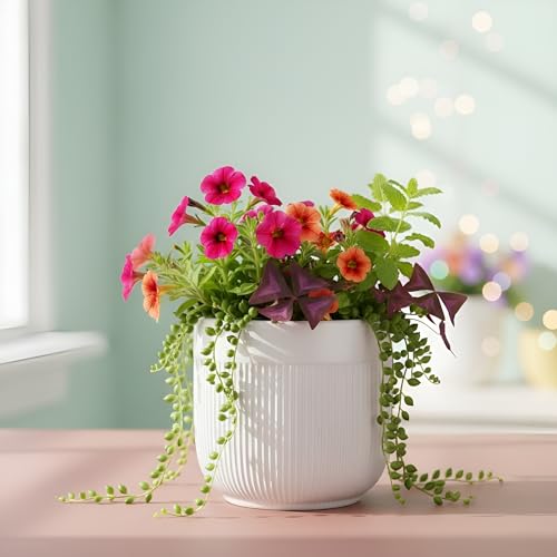Image of Xtore Studio Ceramic Ribbed Planter | Round Decorative Flower Pot for Home, Bedroom & Living Room Decor - (White, 1 Piece, Planter ONLY)