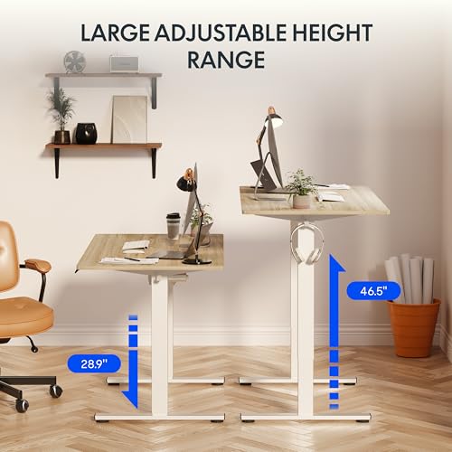 FLEXISPOT EN1 One-Piece Standing Desk, 48 x 24 Inches Electric Height Adjustable Desk for Home Office (White Frame + White Wood Grain Desktop)
