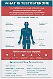 What Is Testosterone Poster Canvas Painting Wall Art Poster for Bedroom Living Room Decor (Unframe-style, 08x12inch(20x30cm))