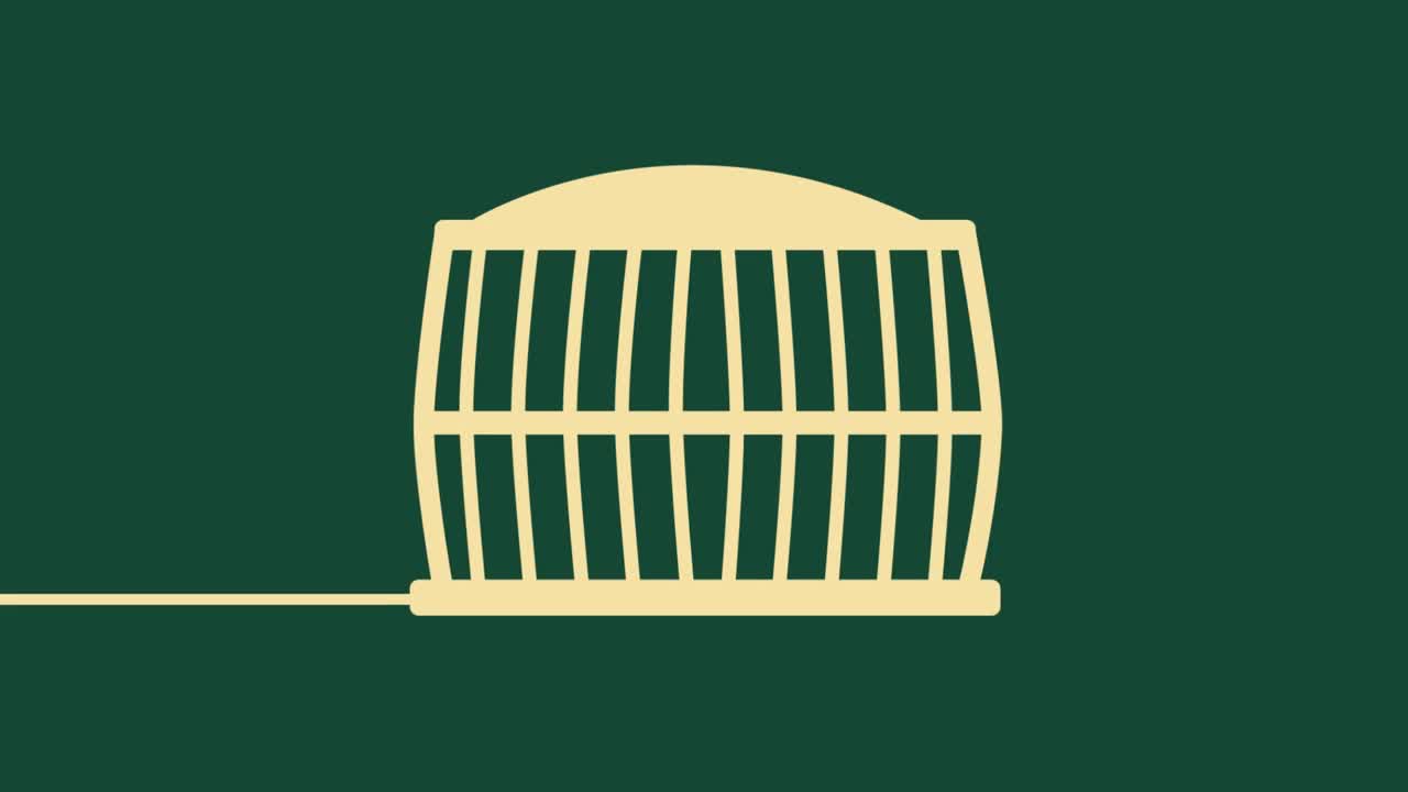 Jameson Irish Whiskey, Blended aus feinen, dreifach destillierten Pot Still und Grain Spirituosen, Milder und zeitloser Genuss aus Irland, 700ml – Bild 8