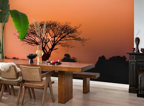 Papier peint coucher de soleil africain orange pour une évasion quotidienne