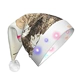 Decoraciones para árbol de Navidad: sombrero de Navidad LED con pintura de loto de tinta para adultos, gnomo de Papá Noel, con un sombrero de copa con patrón de copo de nieve y barba larga blanca, se puede utilizar como un sombrero de decoración del árbol de Navidad para decorar el árbol de Navidad