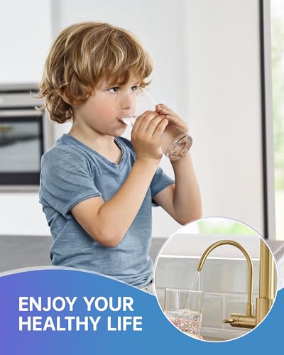 Image of Fapully 3 Way Kitchen Faucets with Sprayer and Water Filter Brushed Gold