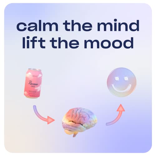 Recess Mood Magnesium Supplement Drink Calming Beverage, 12 Ounce, Pack Of 12 (Variety Pack, 12 Pack) *New Flavors* #TOP6