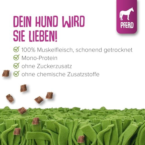 KNAUDER'S Best - Hundeleckerli Schnüffelis - 1x 100g Pferd Snacks - Hunde Leckerlis aus 100% Muskelfleisch - Hundeleckerli getreidefrei & ohne chemische Zusatzstoffe - Leckereien für Hunde