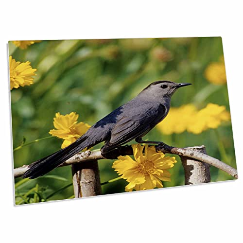 3dRose Gray Catbird sobre Cerca de Madera - Desk Pad