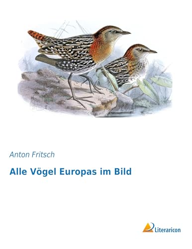 Alle Vögel Europas im Bild - Anton Fritsch Kartoniert (TB)