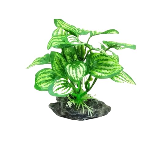 Image of JGbaby Artificial Aquarium Plants,Fish Tank Decorations Betta Leaf Hammock 4in Realistic Silk & Plastic Plants, Hideout Decor for Betta. Goldfish,Reptiles,Small Tanks (Green Type-C)