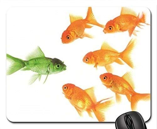 Cojín de ratón temático del Juego de los Pescados, Nueva Cara en el cojín de ratón de la Escuela, Mousepad
