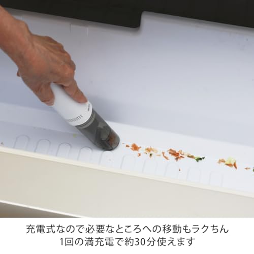 ダイレクトテレショップ テラサ(TERASA) ナノクリーナー USBアダプター付 T026920 の商品画像 4