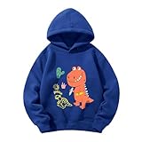 Confortable et stylé : Il s'agit d'un sweat-shirt léger de style sportif. Il est facile d'entretien, ne perd pas de couleur lors du lavage en machine, pas de taches de boulochage après le lavage. Idéal pour un usage quotidien, se détendre à la maison ou jouer en extérieur.