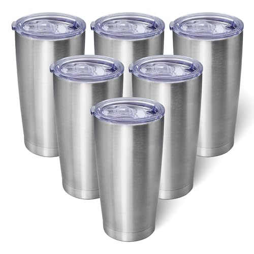 20oz Stainless Steel Tumblers with Lid (6-Pack)