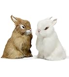 Realistic Furry Easter Bunny Decorations- Set of 2 Lifelike Easter Bunnies Decor for Home, Photography Props, Party Favors and Collectible Gifts