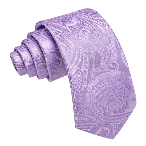 Image of Barry.Wang Paisley Tie for Men Silk Woven Necktie and Tie Clip Set Wedding Party Business Formal