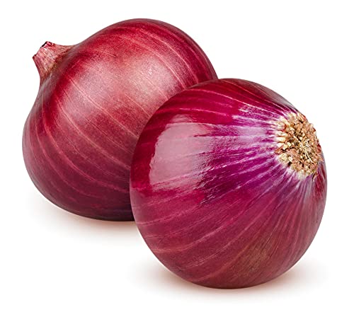 GARDENIFY INDIA ONION N-53 VEGETABLE SEEDS (500 SEEDS/PACKET) (B094HX2PV8) Amazon Price History, Amazon Price Tracker