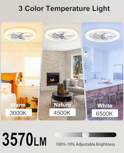 Smart Ceiling Light with Music Speaker