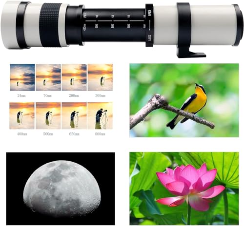 Teleobjetivo Lightdow 420-800mm f/8.3-16 para Nikon DSLR - Fernando Cortés Teleobjetivo Lightdow 420-800mm f/8.3-16 para Nikon DSLR - Fernando Cortés