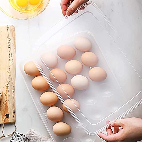 Image of RIOMAX 24 Grid Egg Storage Box Egg Refrigerator Storage Tray, Stackable Plastic Egg Containers for Fridge Kitchen (24 Grid Storage, Pack of 1)