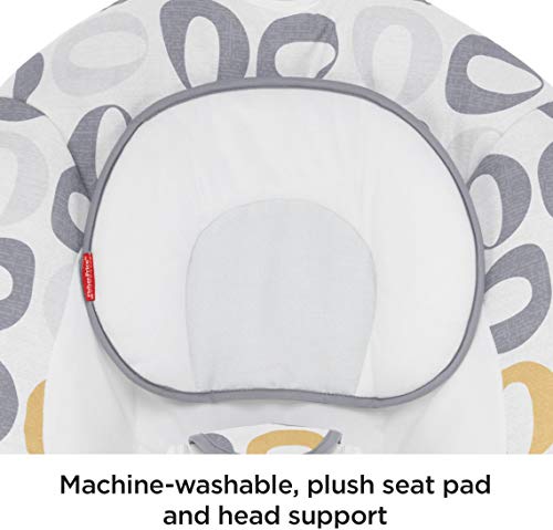 Fisher-Price-See-Soothe-Deluxe-Bouncer