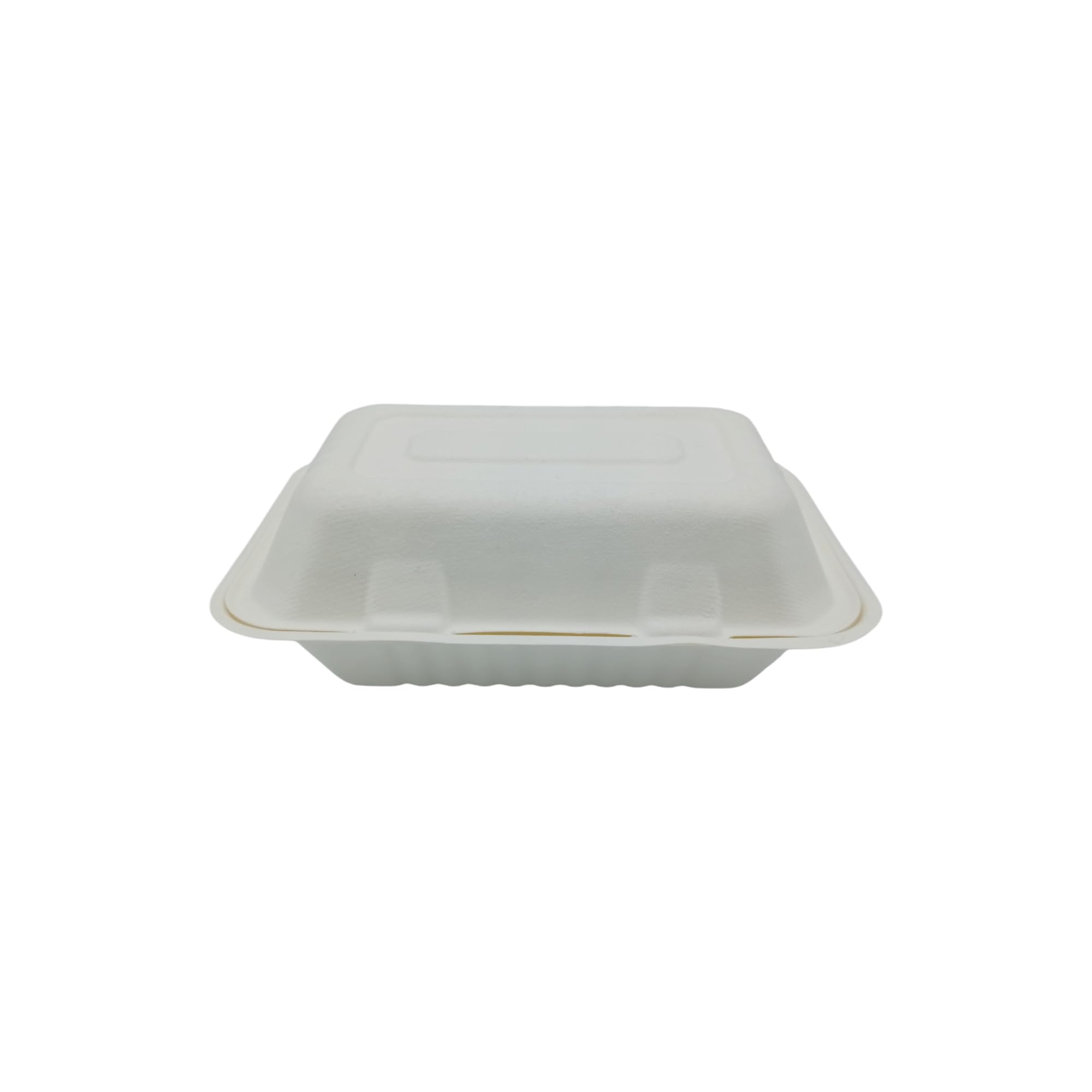 Générique 250 Boîtes à Sandwich Rectangulaires en Fibre de Canne 23x15,3x7,7 cm - Coques pour Burgers, Sandwichs, Paninis, Hot Dogs, Frites, Poulet Frit et Plus