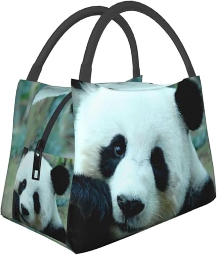  `obO p_ ۗ ۉ \tgN[[  ٓ N[[{bNX  AEghA Lv ʋ΁Eʊwp y [֗