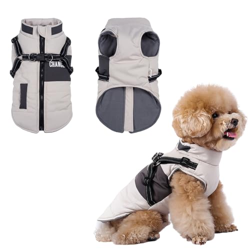  h ~ ^ ^ ^ h  h _ExXg N U S ₷ H~ tp zCg L