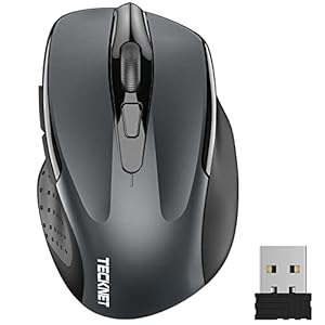 TECKNET Souris sans Fil, 2.4G Souris Optique avec 2600 DPI, Souris Ergonomique pour Ordinateur Portable, PC avec Récepteur USB, Gris