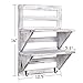 RHF Rustic Wall Shelf, Wood Wall Shelves, Hanging Shelf Organizer Rack, Decorative Floating Shelves for Living Room, Bathroom, Kitchen, Office - 2 Hooks 2-Tier (White)