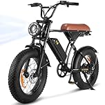 Flydone Off Road Electric Bike, 1500/1000W Peak Motor 20" Fat Tire Dirt Ebike for Adults, 32/45KMH Max 80/200KM PAS Range,Single/Dual Battery Full Suspension, All-Terrain E Bike for Mountains, Snow