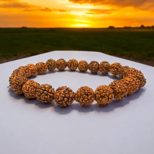 Image of Original Certified 5 Mukhi Rudraksha Bracelet With Certificate | AAA Grade | Five Faced Rudraksh Braselet With Lab certificate | Panchmukhi Rudraksha Bracelet For Men Women