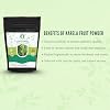 AYURVEDASHREE Bitter Melon Powder 100 Gm I Momordica Charantia/Karela Fruit Powder I Ayurvedic herb I Support Liver Function I Herbal Supplement I Supports Skin and Stomach