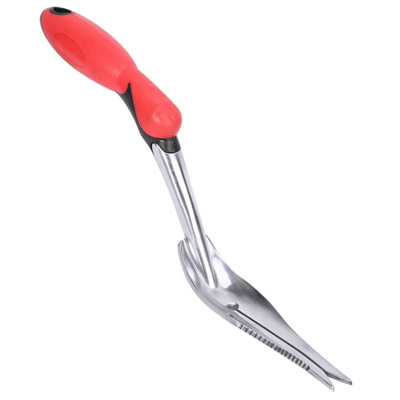 Toddmomy Estirpatore Manuale da Giardino in Ferro, Scavapatate e Allenta Terreno, Anello per Appendere, per Rimuovere Le Erbacce nel Giardino