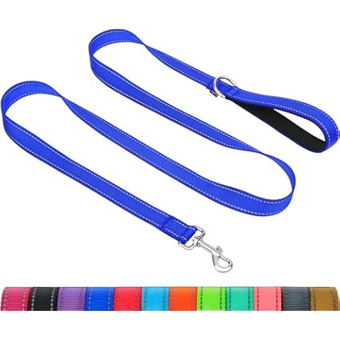 Laisse de Dressage Taglory Cover