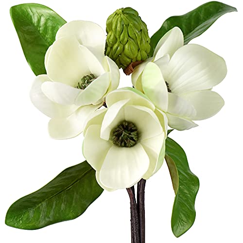 FiveSeasonStuff Magnolia Arrangements