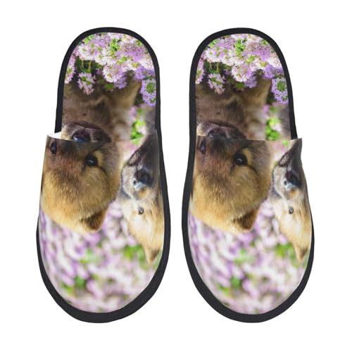 [JECASS]  lC v[g Aj Xbp  Y 􂦂 gC qp p E Xbpjp LN^[ ObY  fB[X ~ 킢 qpm